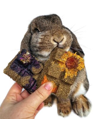 🌼Květová čokoláda🌼 s čerstvě zapracovanými květy slézové růže a měsíčku na www.biomiro.store