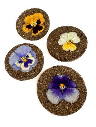 Dnešním dnem zahajujeme slavnostní ražbu našich Violkových dukátů. Ručně lisovaných koleček z lučních travin, do kterých...