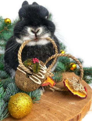 🎄VÁNOČNÍ HLODOKROUŽKY🎄 Naši oblíbenou dobrotu (klasické Hlodokroužky) už dobře znáte. Tento rok se staly naprostým hitem a...