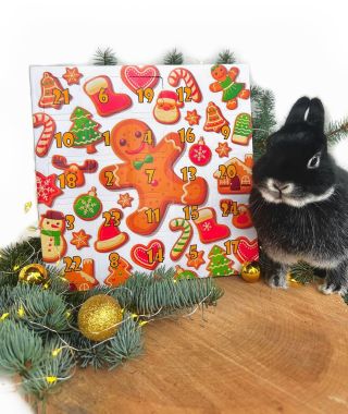 🎄ADVENTNÍ KALENDÁŘ🎄Vánoce nejsou jen pro lidi, potěšte i svého králíčka, morče nebo jiného chlupatého kamaráda! Náš...