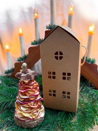 Vánoční stromeček plný jablíček🍎. Jen pár kousků najdete na našem eshopu www.biomiro.store